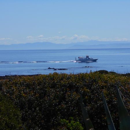 Le Case Punta Negra Stintino Eksteriør bilde