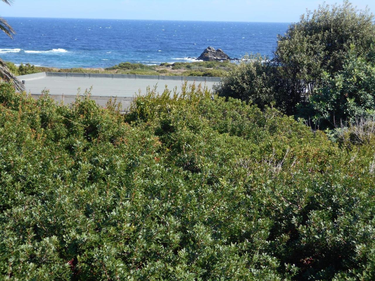 Le Case Punta Negra Stintino Eksteriør bilde
